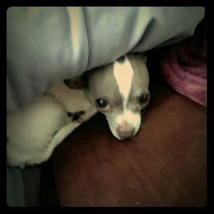 ADDING GOODIES TO MY CLOSET WHEN I GET A PRINTER